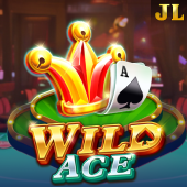 Wild Ace - poker terms slot